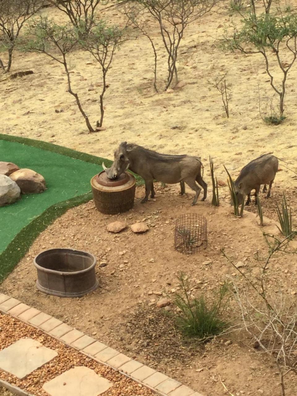 Windhoek Rural Self Catering Voigtland Extérieur photo